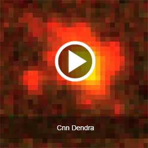 Cnn Dendra Photo-Conversion