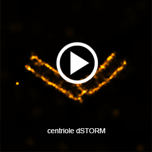 dSTORM imaging of centriole